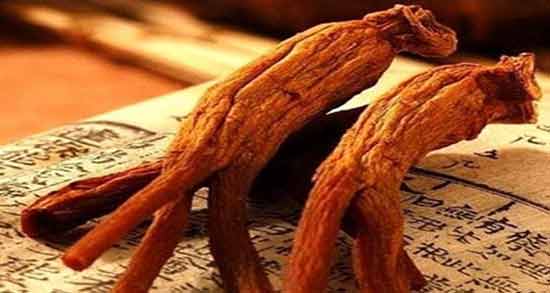 جینسینگ قرمز برای چاقی ؛ افزایش وزن با مصرف جینسینگ قرمز
