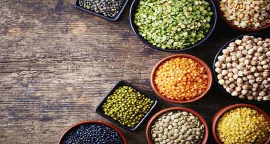 حبوبات برای طوطی ملنگو ؛ آیا می توان به طوطی ملنگو حبوبات داد؟