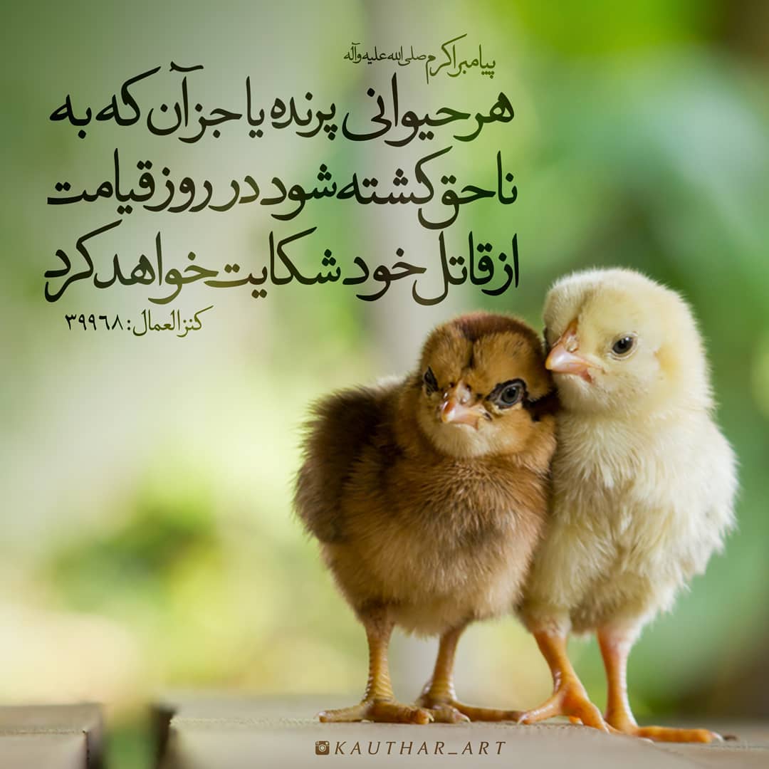 حدیث در مورد حیوانات (نقل قول های مذهبی در مورد حیوانات خانگی و وحشی)