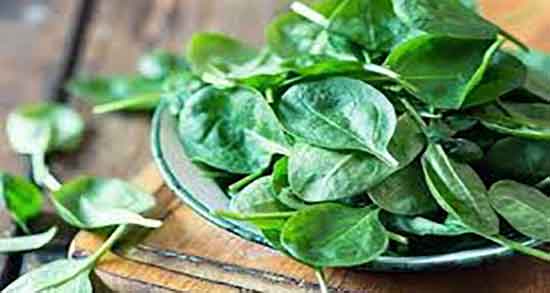 حساسیت به اسفناج در کودکان ؛ چگونه حساسیت به اسفناج را بفهمیم