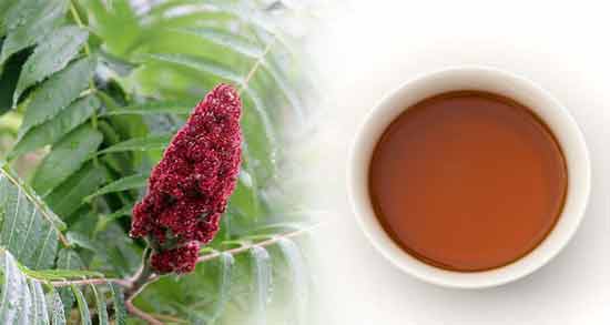 خاصیت دمنوش سماق و عسل ؛ درمان بیماری قلبی با دمنوش سماق و عسل