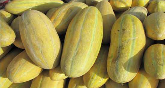 خربزه و زیبایی جنین نی نی سایت ؛ تاثیر خوردن خربزه برای زیبایی جنین