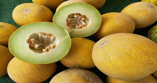 خربزه و عسل خیراندیش ؛ همه چیز درباره مصرف خربزه و عسل از دیدگاه دکتر خیراندیش