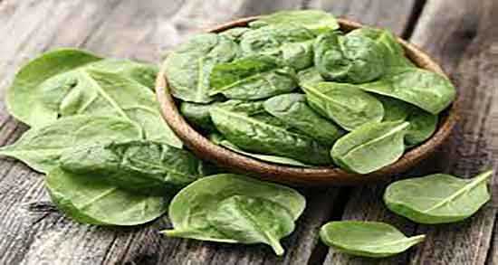 خطر اسفناج پخته ؛ عوارض استفاده از اسفناج پخته برای معده چیست