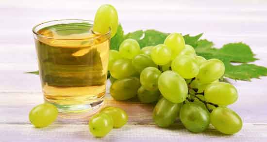 خواص آبغوره برای کبوتر ؛ آیا می توان به کبوتر آبغوره داد؟