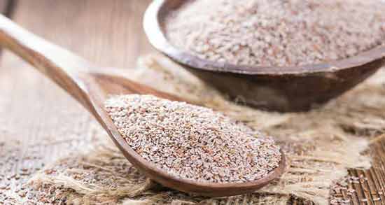 خواص اسفرزه برای قناری ؛ بررسی خواص و فواید اسفرزه برای قناری