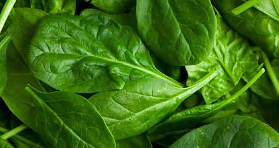 خواص اسفناج با سیر ؛ تاثیر استفاده از اسفناج با سیر برای میان وعده