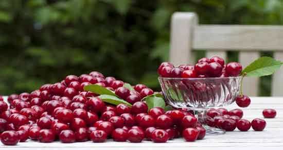 خواص البالو برای ریه ؛ فواید خوردن البالو برای پاکسازی ریه از سموم
