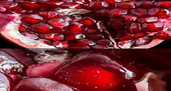 خواص انار پخته برای ریه ؛ فواید مصرف انار پخته برای درمان عفونت ریه