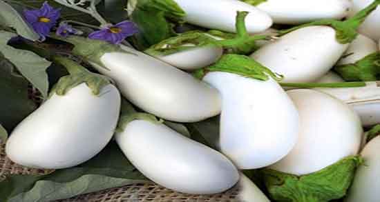 خواص بادمجان سفید چیست ؛ فواید مصرف بادمجان سفید برای بدن چیه