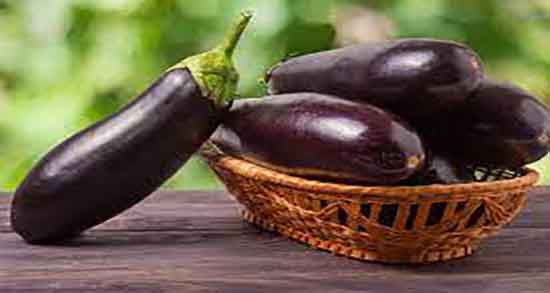 خواص بادمجان مینیاتوری ؛ فواید مصرف بادمجان مینیاتوری برای ترشی