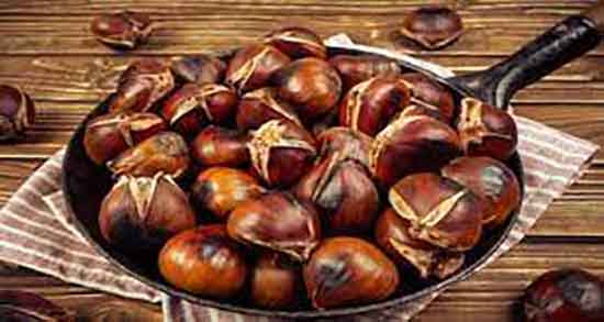خواص بلوط برای کلیه خاصیت مصرف نان بلوط برای درمان سنگ کلیه