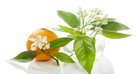 خواص بهار نارنج برای نازایی ؛ تاثیر مصرف بهار نارنج برای درمان نازایی