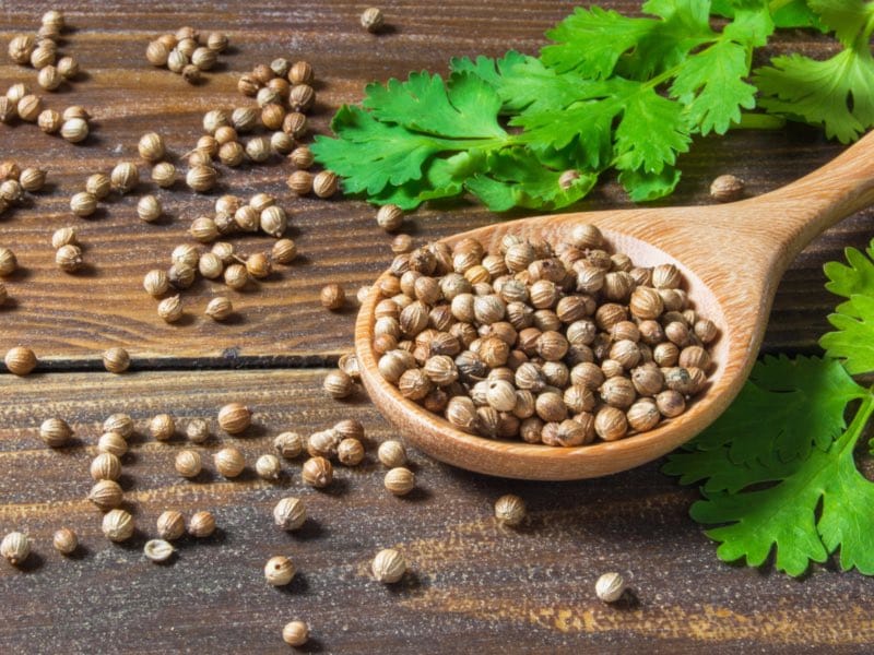 خواص ترنجبین؛ ارزش غذایی و انواع ترنجبین و معرفی بهترین خواص آن