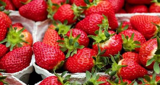 خواص توت فرنگی برای باردار شدن ؛ افزایش شانس باروری با خوردن توت فرنگی