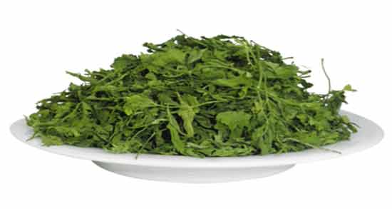 خواص جعفری خشک برای لاغری ؛ تاثیر خوردن جعفری خشک برای لاغر شدن