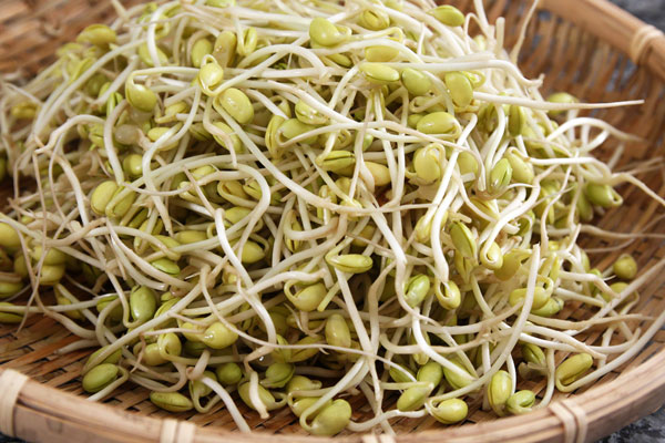 خواص جوانه گندم؛ تأثیرات شگرف جوانه گندم بر پوست و لاغری