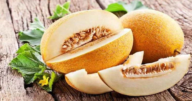 خواص خربزه؛ خواص درمانی و مضرات خربزه کدامند؟
