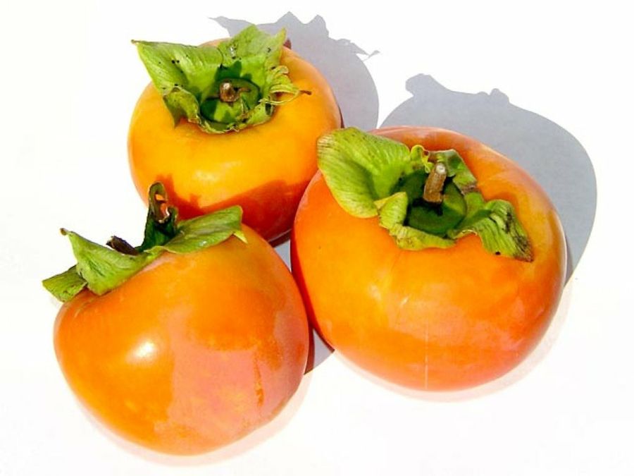 خواص خرمالو؛ خواص و مضرات خرمالو برای بدن و سلامتی