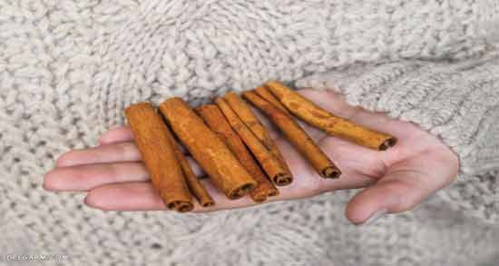 خواص دارچین برای رحم و تخمدان ؛ تاثیر مصرف دارچین برای درمان بیماری های رحم و تخمدان