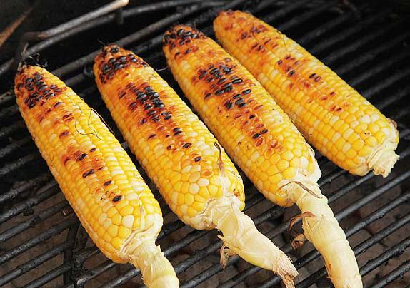 خواص درمانی ذرت؛ آشنایی با خواص و مضرات ذرت و بلال