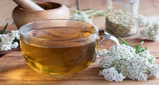 خواص دمنوش بومادران ؛ آشنایی با فواید خوردن دمنوش بومادران برای سلامتی
