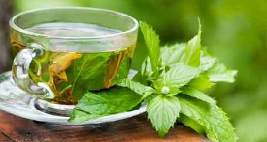 خواص دمنوش پونه و زعفران آشنایی با فواید مصرف دمنوش پونه و زعفران