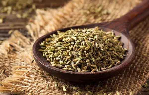 خواص رازیانه برای رحم و تخمدان نی نی سایت مضرات رازیانه برای رحم زمان مصرف رازیانه برای پاکسازی رحم بهترین زمان خوردن رازیانه برای تنظیم هورمون خواص رازیانه برای زنان یائسه خواص دمنوش رازیانه برای رحم چهل روز رازیانه خاصیت رازیانه برای زنان چیست