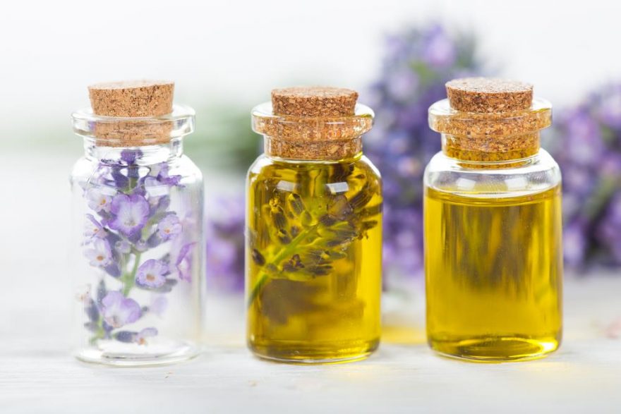 خواص روغن جوجوبا؛ شگفت انگیزترین فواید روغن جوجوبا برای پوست و مو