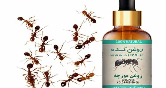 خواص روغن مورچه برای موهای زائد ؛ تاثیر استفاده از روغن مورچه برای از بین بردن موهای زائد