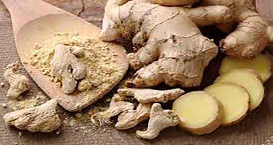 خواص زنجبیل برای روده ؛ فواید استفاده از زنجبیل برای روده تحریک پذیر