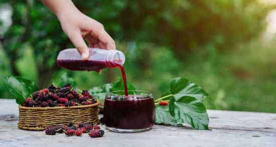 خواص شیره توت برای معده ؛ تاثیر مصرف شیره توت برای درمان بیماری های معده