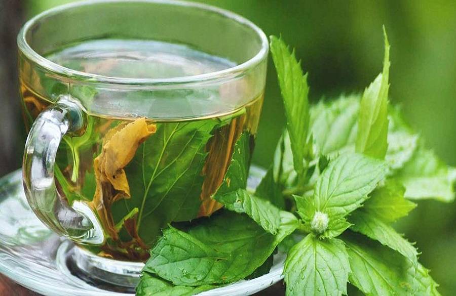 خواص عرق نعنا؛ مزایای مصرف عرق نعنا از تسکین استرس تا تقویت سیستم ایمنی