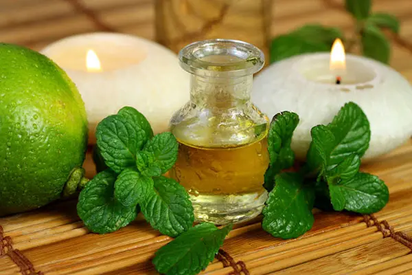 خواص عرق نعنا؛ مزایای مصرف عرق نعنا از تسکین استرس تا تقویت سیستم ایمنی