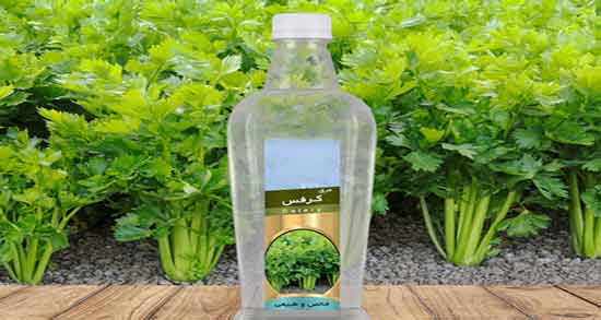 خواص عرق کاهو و کرفس ؛ فواید مصرف عرق کاهو و کرفس برای سلامتی