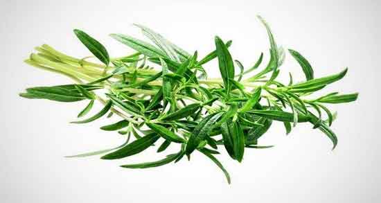 خواص مرزه برای بارداری و خاصیت خوردن مرزه برای زن باردار خواص مرزه برای بارداری ؛ خاصیت خوردن مرزه برای زن باردار