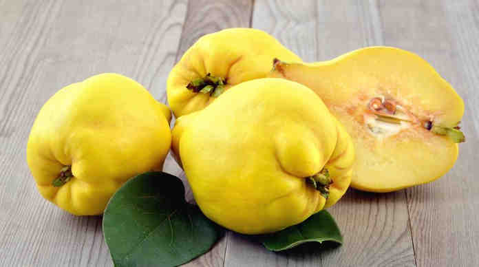 خواص میوه به؛ میوه به و خواص درمانی و مضرات آن