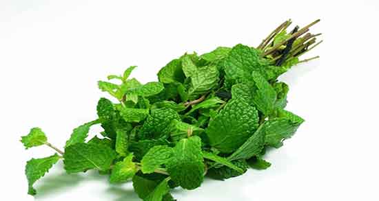 خواص پونه برای عفونت گلو فواید مصرف پونه برای درمان عفونت گلو اطفال