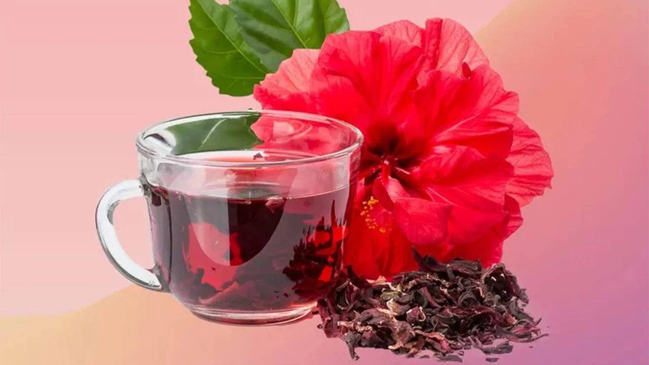 خواص چای ترش؛ تاثیرات بی نظیر چای ترش بر سلامت و روش هاتی تهیه آن