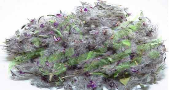 خواص چای کوهی برای لاغری نی نی سایت ؛ فواید مصرف چای کوهی برای کاهش وزن