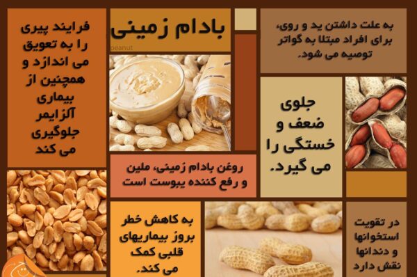 خواص کره بادام زمینی (21 فایده شگفت انگیزه و عوارض مصرف)