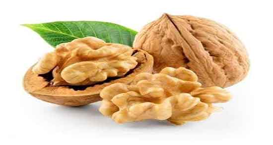 خواص گردو برای ریه ؛ ایا مصرف گردو برای درمان عفونت ریه مفید است