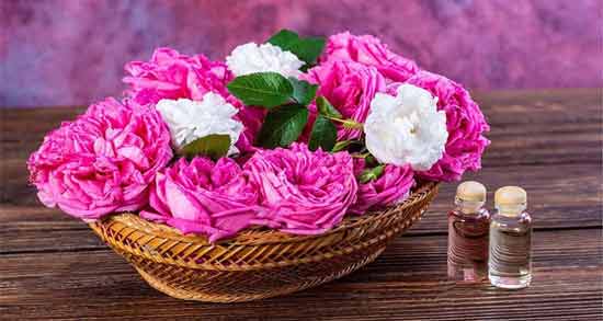 خواص گلاب برای ریه ؛ خاصیت استفاده از گلاب برای پاکسازی ریه