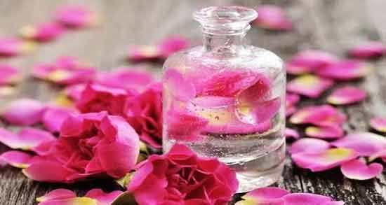 خواص گلاب برای معده و روده ؛ فواید دارویی گلاب برای سلامت معده و روده