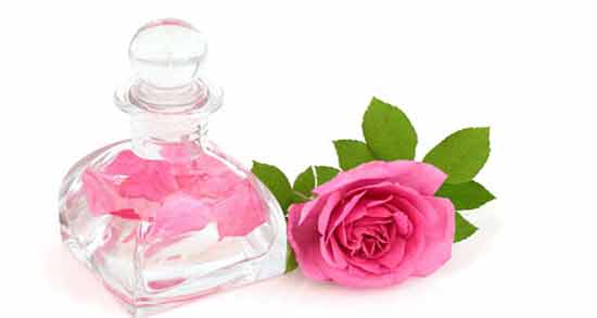 خواص گلاب برای مغز ؛ تقویت حافظه با مصرف گلاب