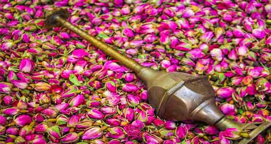 خواص گلاب و نمک ؛ خاصیت شگفت انگیز ترکیب گلاب و نمک برای سلامت بدن