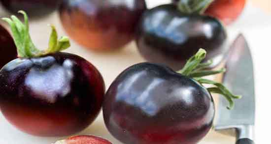 خواص گوجه گیلاسی سیاه تاثیر استفاده از گوجه گیلاسی سیاه چیست