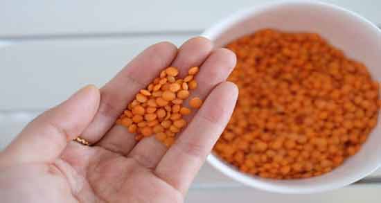 دال عدس پروتئین دارد ؛ چه میزان پروتئین در دال عدس وجود دارد