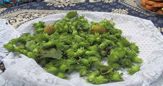 دم کرده گل فندق ؛ خواص و مضرات مصرف دم کرده گل فندق
