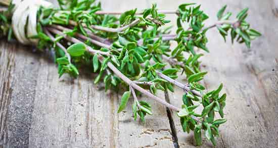 دمنوش آویشن و دارچین برای سرماخوردگی ؛ فواید مصرف دمنوش اویشن چیه